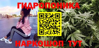 дживик Боровичи