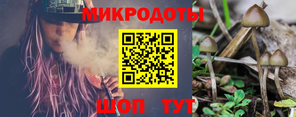 Псилоцибиновые грибы Cubensis  Галлюциногенные грибы Psilocybine cubensis  Котовск  Вход с VPN 